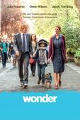Wonder Wonder